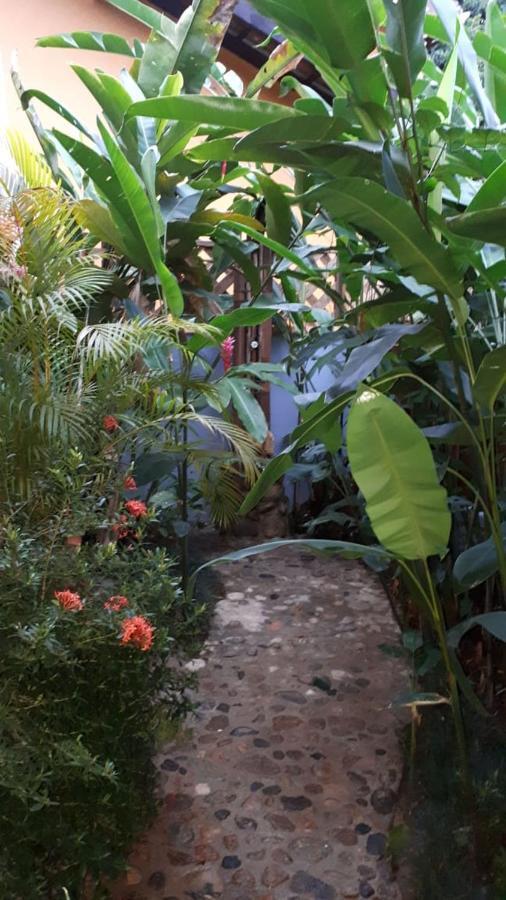 Suites&Chales Madalenas Itamambuca Ubatuba Dış mekan fotoğraf